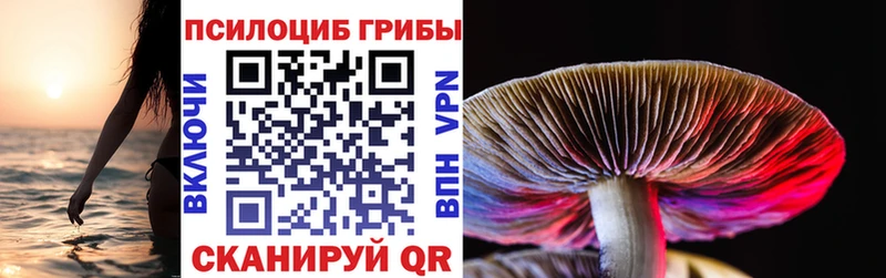 KRAKEN вход  Сатка  Галлюциногенные грибы Psilocybine cubensis 