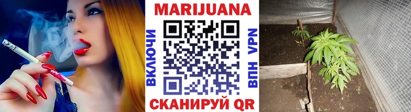 сколько стоит  Сатка  Конопля гибрид 